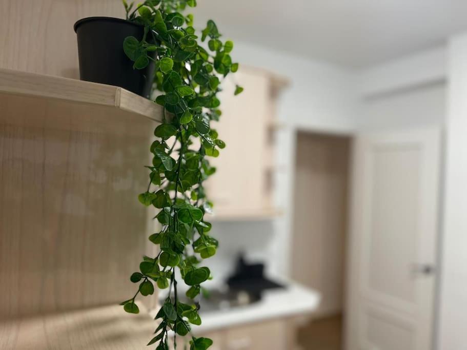 Elegancia Junto Al Rectorado. Apartman Córdoba Kültér fotó