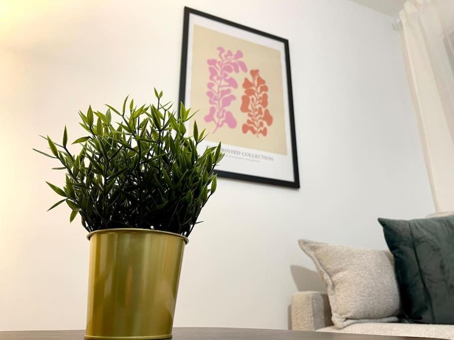 Elegancia Junto Al Rectorado. Apartman Córdoba Kültér fotó